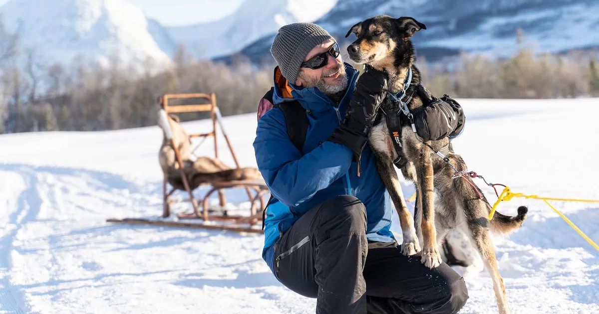 Huskies resting in the snow at Breivikeidet on a short husky dog sledding ride from Tromsø