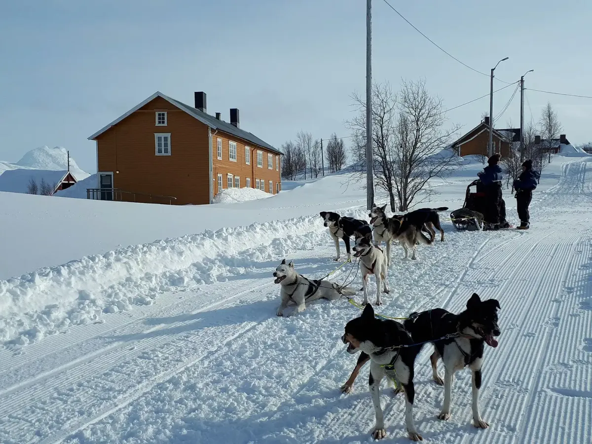 Husky teams on a groomed snow trail at a mountain lodge, like the inland snow on Tamok husky dog sledding from Tromsø
