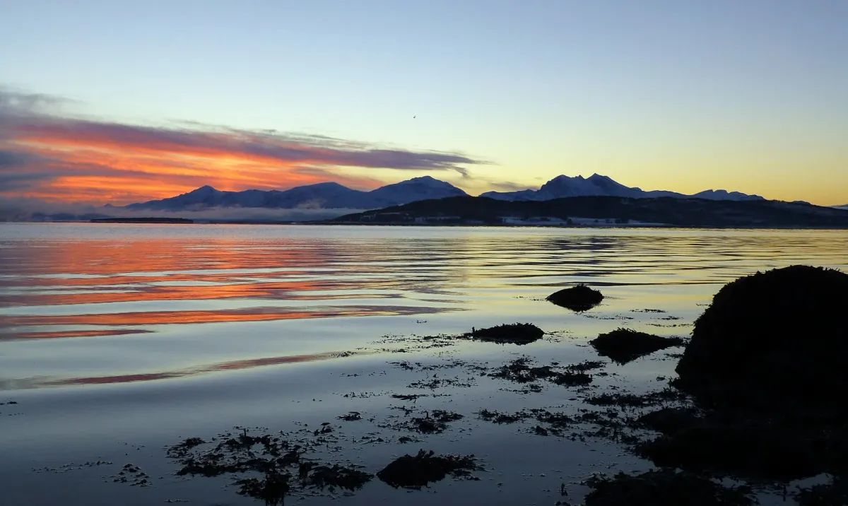 Midday twilight over the sea on Kvaløya, the island where this self-drive husky dog sledding tour from Tromsø runs